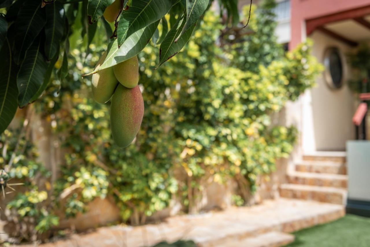 Comfortable 4-Bedroom Villa With Private Gardens Costa Adeje  Exterior foto